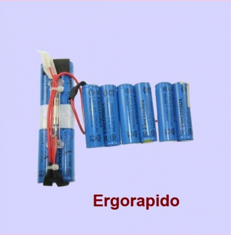 Batterie aspirateur electrolux 90027211500
