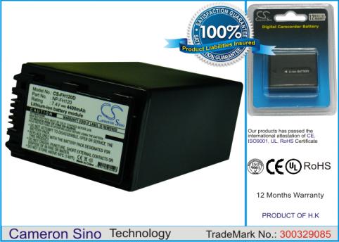 Batterie camescope sony hdr cx100
